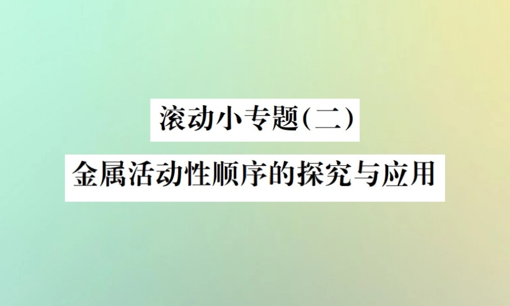 中考化学复习 滚动小专题(二)金属活动顺序的探究与应用课件