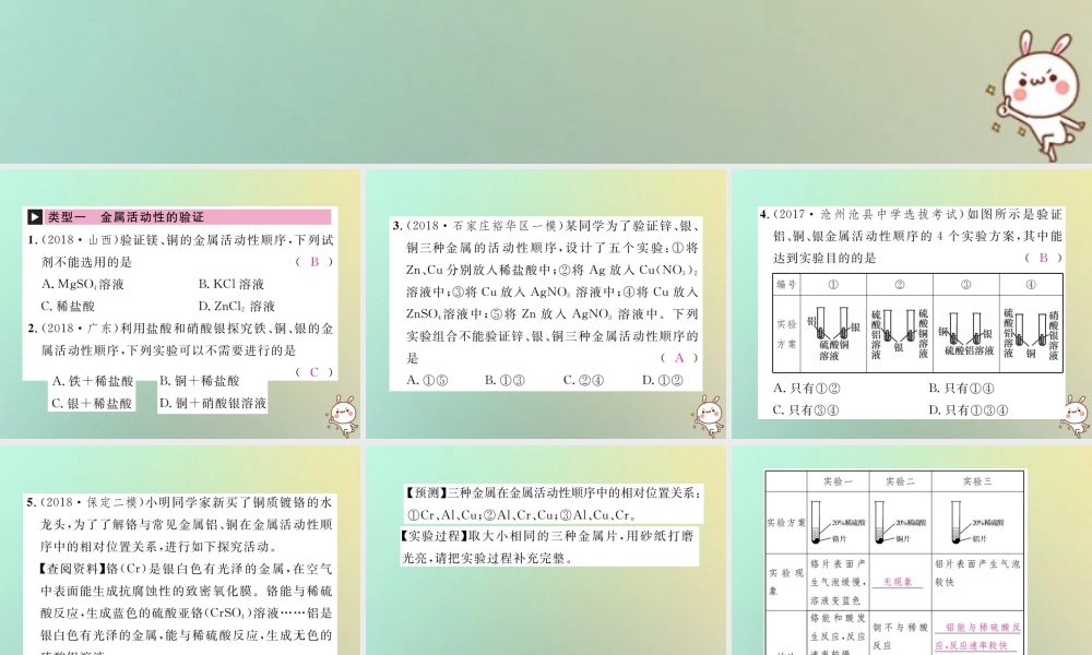 中考化学复习 滚动小专题(二)金属活动顺序的探究与应用课件