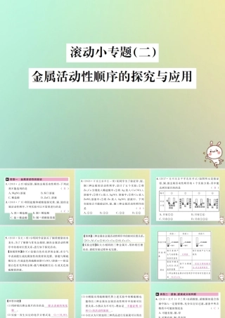 中考化学复习 滚动小专题(二)金属活动顺序的探究与应用课件