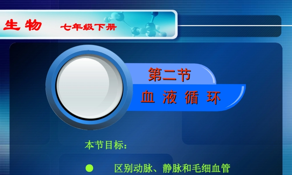 《血液循环》课件1