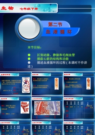 《血液循环》课件1