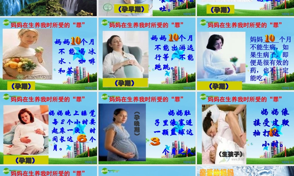 八年级语文下册 (综合性学习：献给母亲的歌)优秀实用课件 人教新课标版 课件