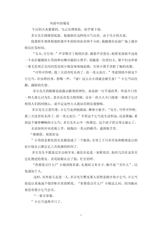 风雨中的菊花