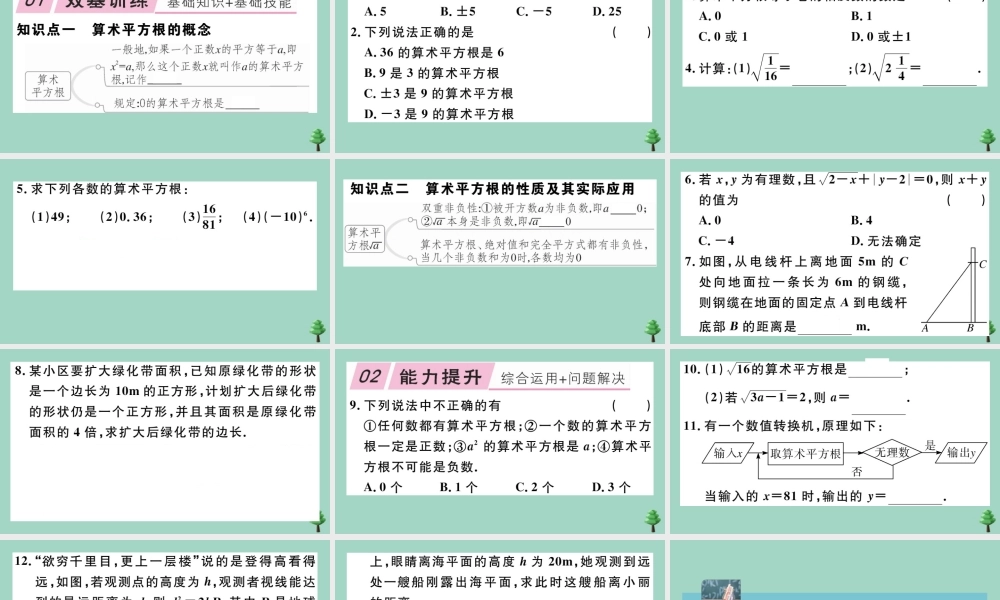 八年级数学上册 第二章(实数)2.2 第1课时 算数平方根作业课件 (新版)北师大版 课件
