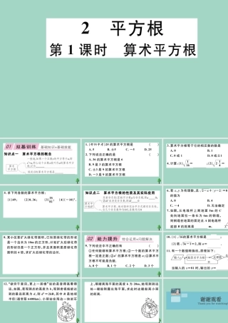 八年级数学上册 第二章(实数)2.2 第1课时 算数平方根作业课件 (新版)北师大版 课件