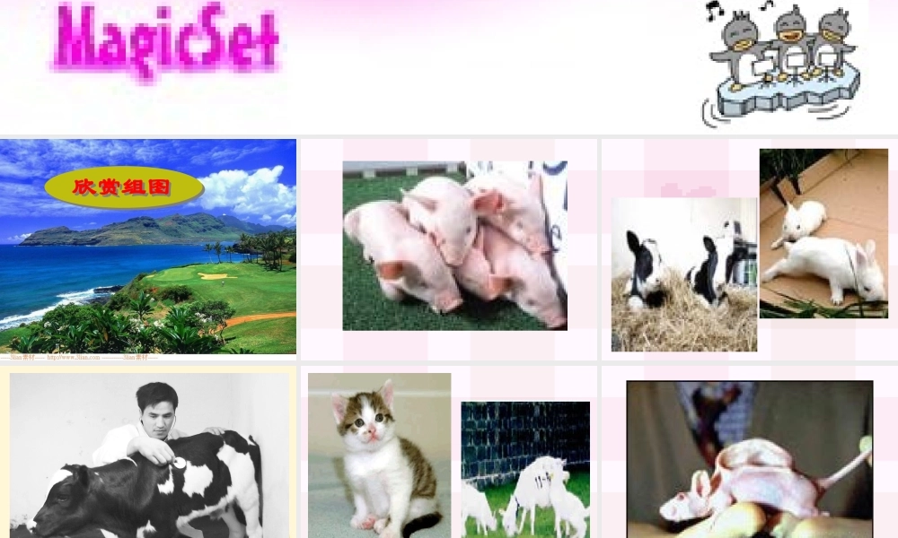 八年级语文第10课(奇妙的克隆)课件 北京课改版 课件