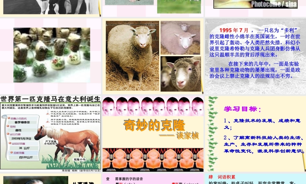 八年级语文第10课(奇妙的克隆)课件 北京课改版 课件