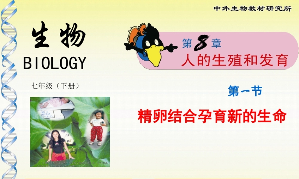 孕育新生命课堂