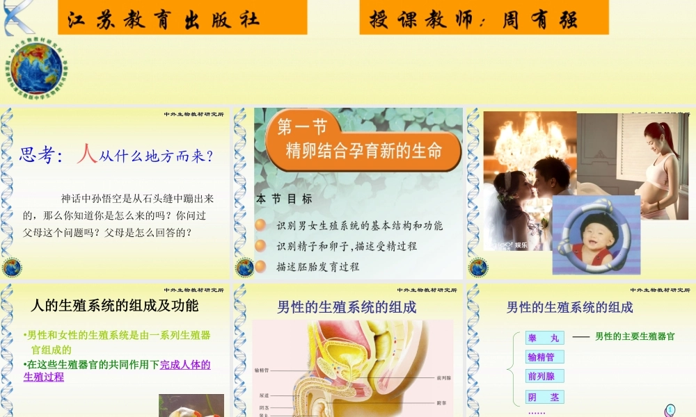 孕育新生命课堂