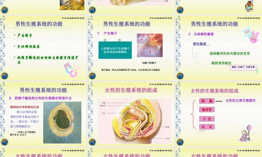 孕育新生命课堂