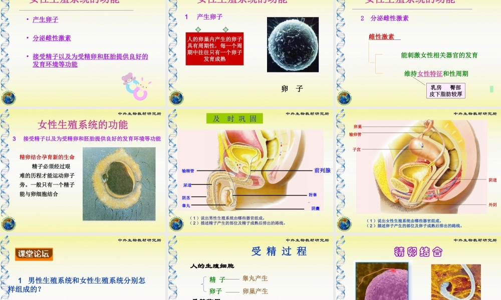 孕育新生命课堂