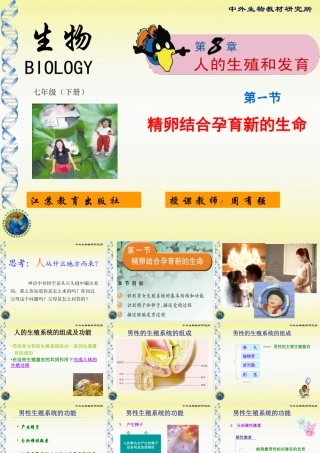 孕育新生命课堂