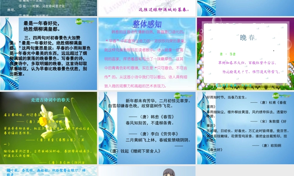 七年级语文下册 (早春呈水部张十八员外)课件 鄂教版 课件