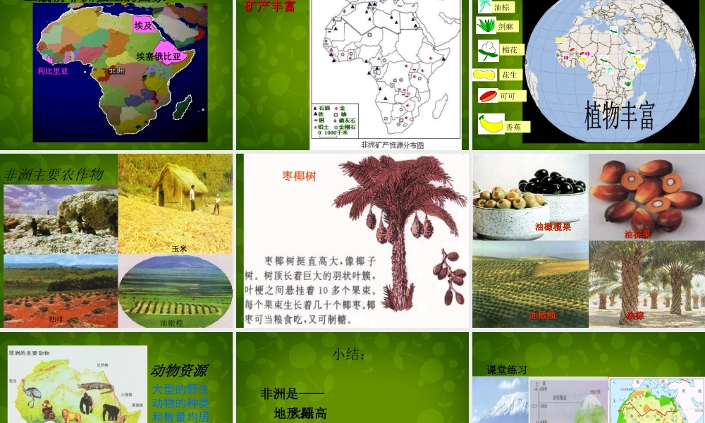 中学七年级地理下册 第八章 第三节 撒哈拉以南的非洲课件 (新版)新人教版 课件