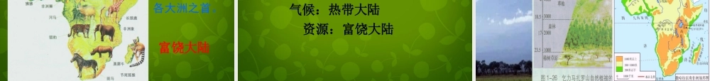 中学七年级地理下册 第八章 第三节 撒哈拉以南的非洲课件 (新版)新人教版 课件