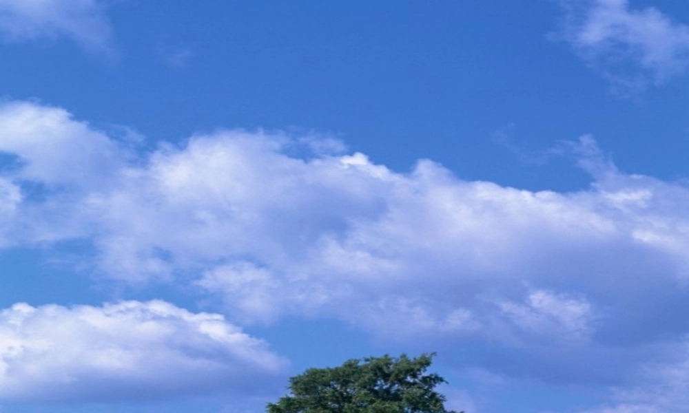 九年级语文 变色龙 课件