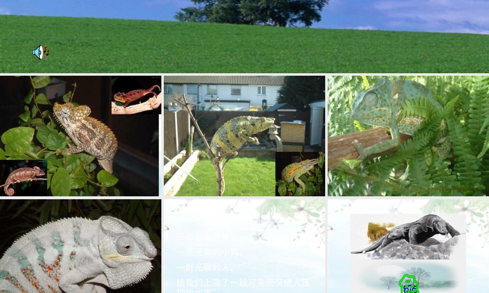 九年级语文 变色龙 课件