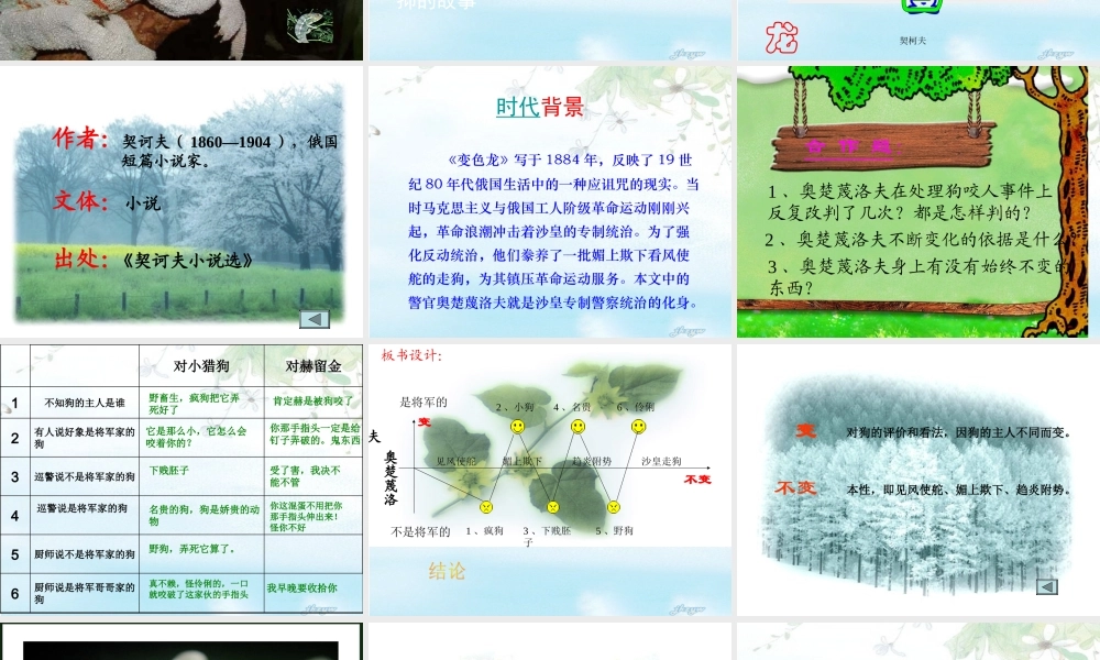 九年级语文 变色龙 课件