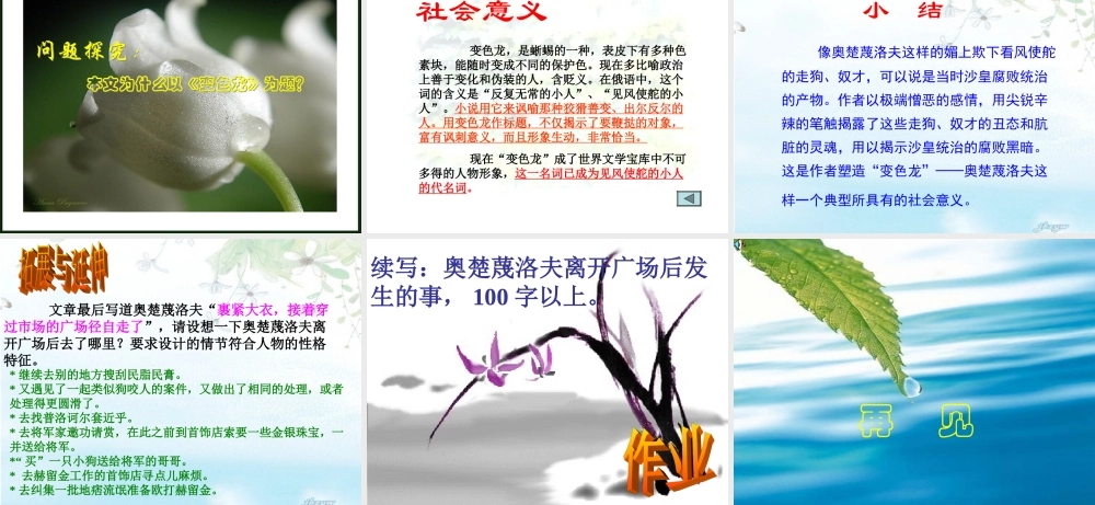 九年级语文 变色龙 课件