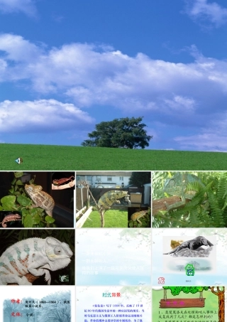 九年级语文 变色龙 课件