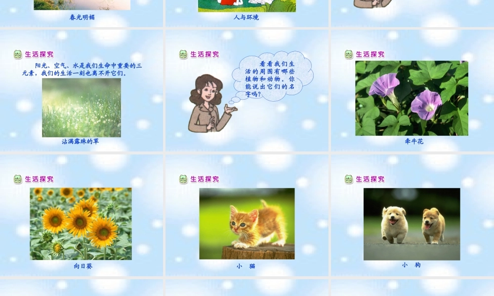 《我们的大地妈妈》教学参考课件1