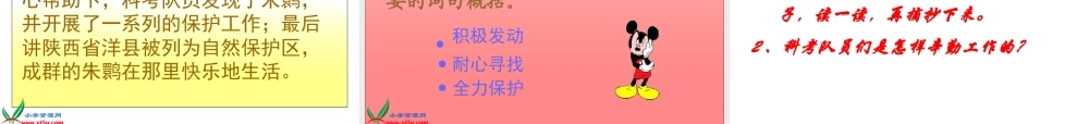 朱鹮飞回来了 (2)