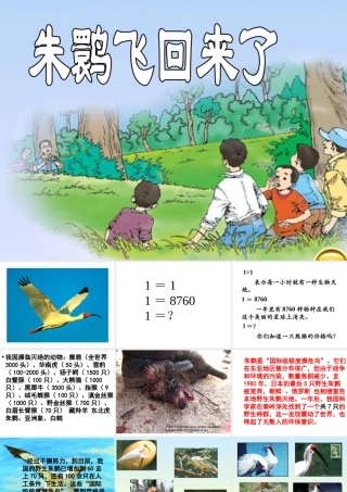 朱鹮飞回来了 (2)