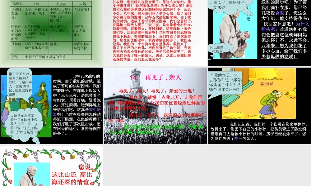 人教版五年级语文下册第14课《再见了_亲人》