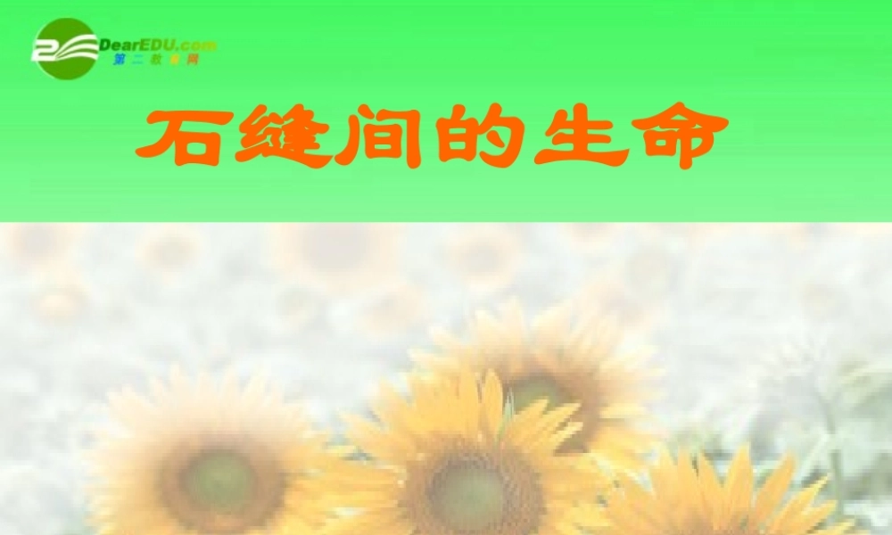 九年级语文上册 第11课(石缝间的生命)课件 北京课改版 课件
