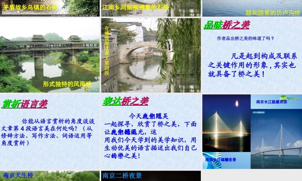 八年级语文上册 (桥之美)优秀课件(15页) 人教新课标版 课件