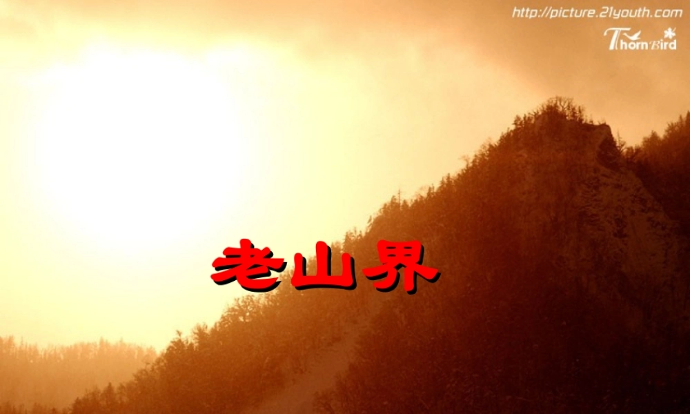 八年级语文老山界课件5苏教版 课件