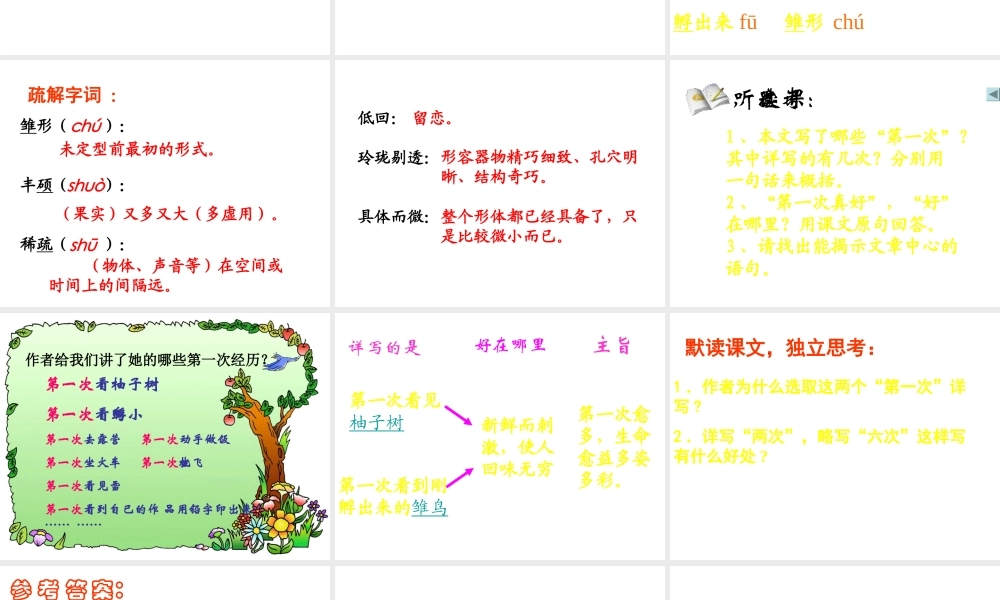 八年级语文第一次真好课件2 鄂教版 课件
