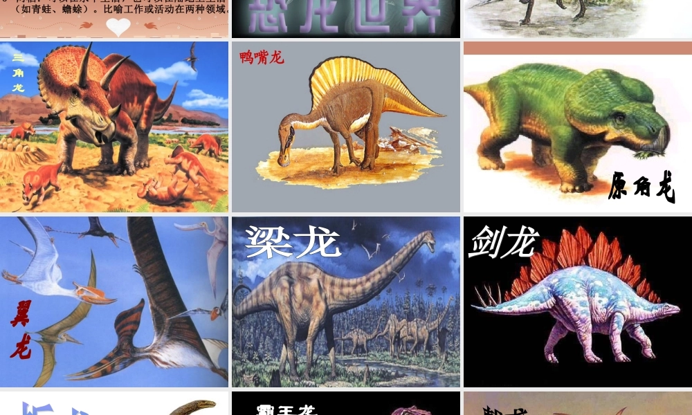 八年级语文上册 第18课(恐龙无处不在)课件 新人教版 课件