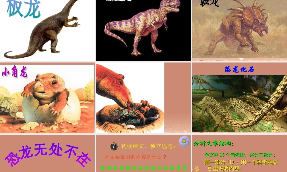 八年级语文上册 第18课(恐龙无处不在)课件 新人教版 课件