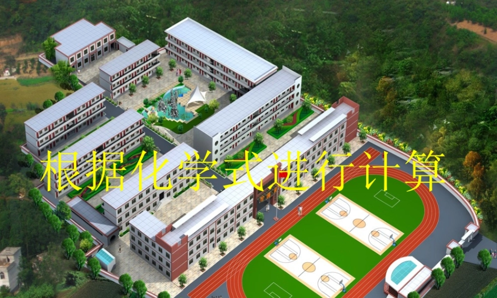 利用化学式进行计算