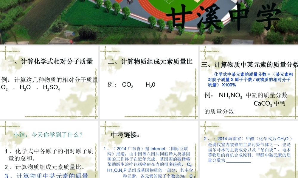 利用化学式进行计算