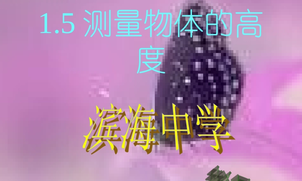 九年级数学上册测量物体的高度课件