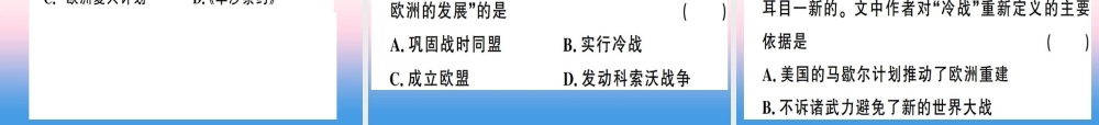 九年级历史下册 第五单元 冷战和美苏对峙的世界 第16课 冷战习题课件 新人教版 课件