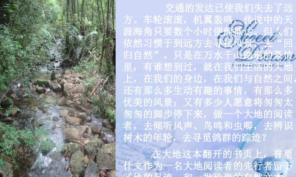 九年级语文上册(林中小溪)课件 苏教版 课件