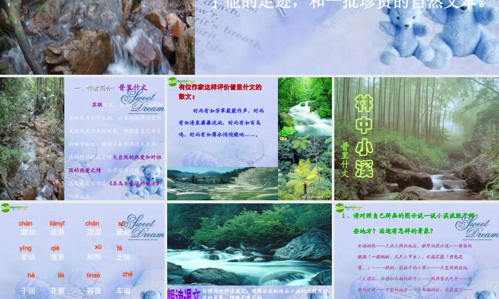 九年级语文上册(林中小溪)课件 苏教版 课件