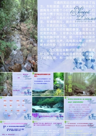 九年级语文上册(林中小溪)课件 苏教版 课件