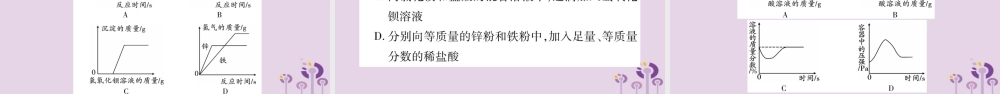 中考化学复习 第二部分 重难题型专题突破 专题四 坐标曲线题(精讲)课件