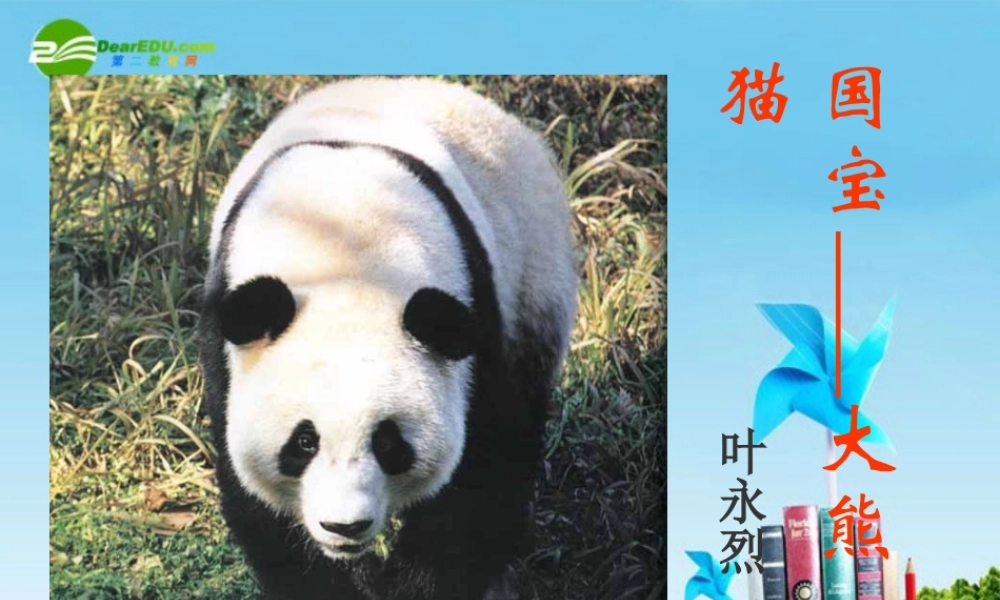 七年级语文下册(国宝大熊猫)优秀实用课件 苏教版 课件