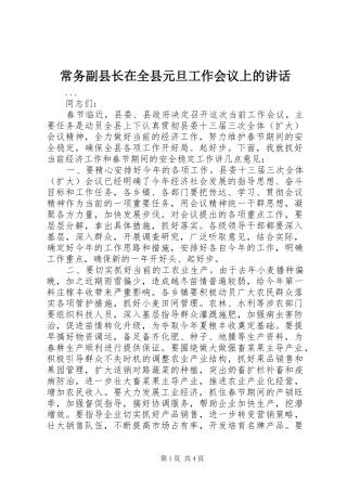 常务副县长在全县元旦工作会议上的讲话