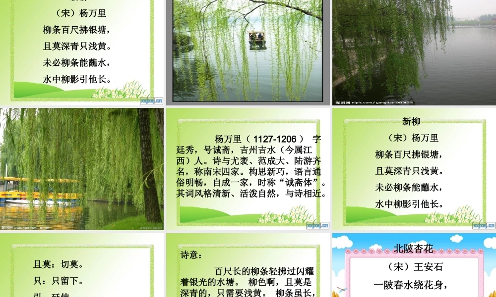 古诗三首_早梅_新柳_北陂杏花