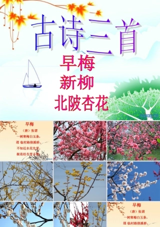 古诗三首_早梅_新柳_北陂杏花