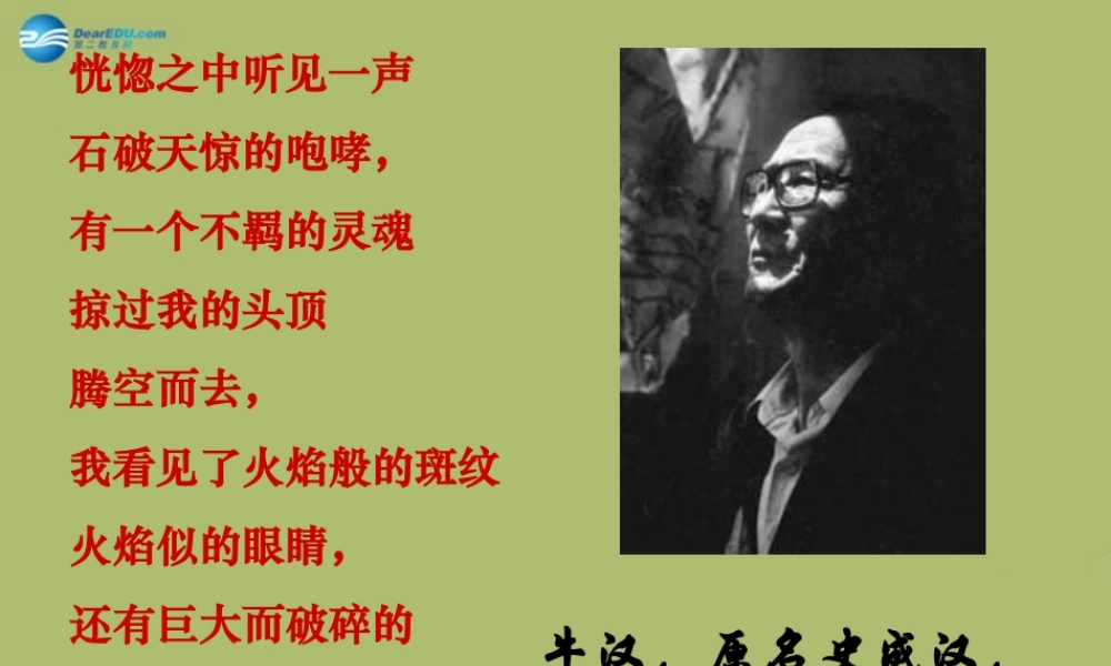 八年级语文下册 3(我的第一本书)课件 新人教版 课件