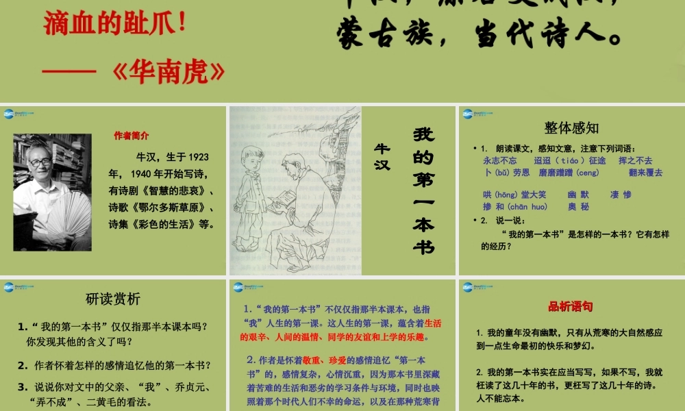 八年级语文下册 3(我的第一本书)课件 新人教版 课件