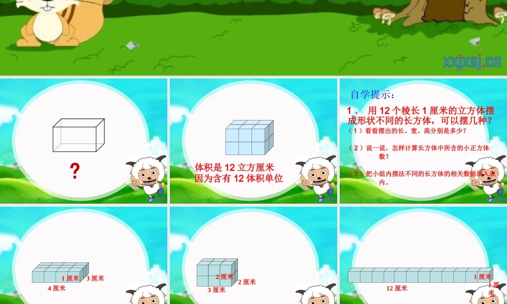五年级数学下册《长方体和正方体的体积》PPT课件(人教版)