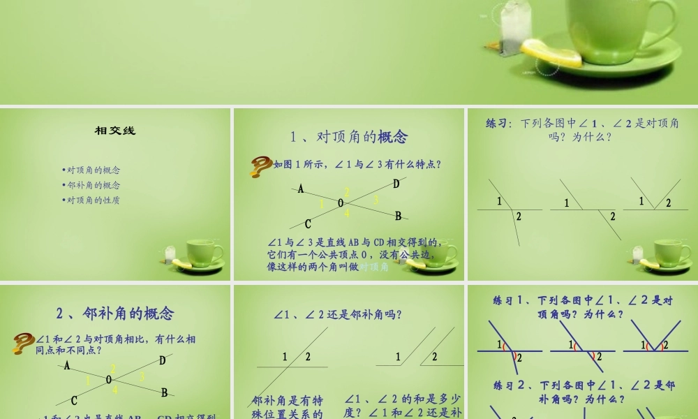 新疆哈密市第九中学七年级数学下册 5.1.1 相交线课件 (新版)新人教版